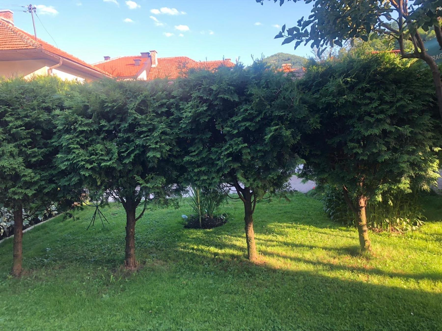 Apartman Balkan Visoko Eksteriør billede